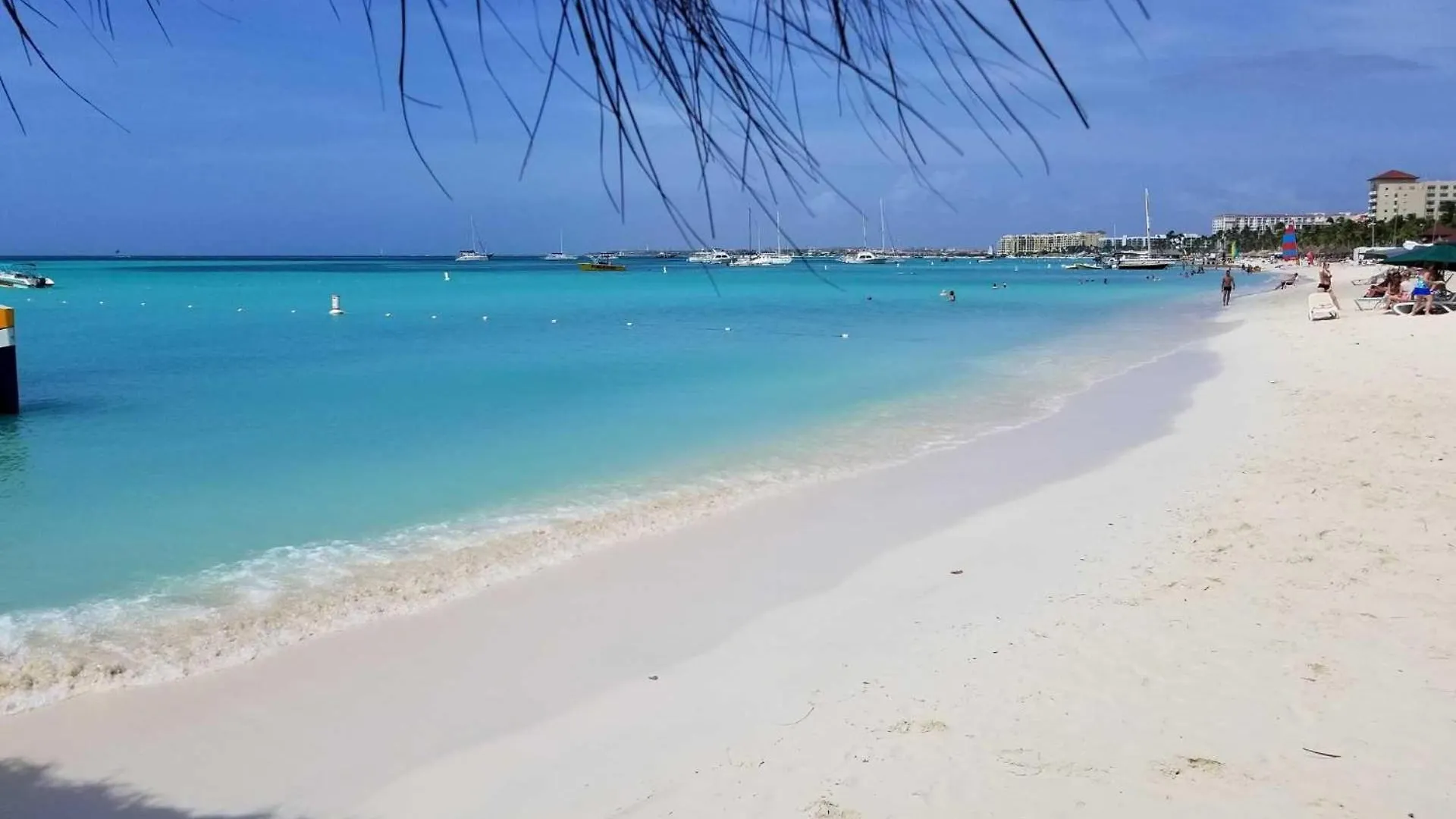 Cd03 - Private Villa With Pool - 5Min From Eagle Beach - 4Br House Palm Beach 0*,  Aruba