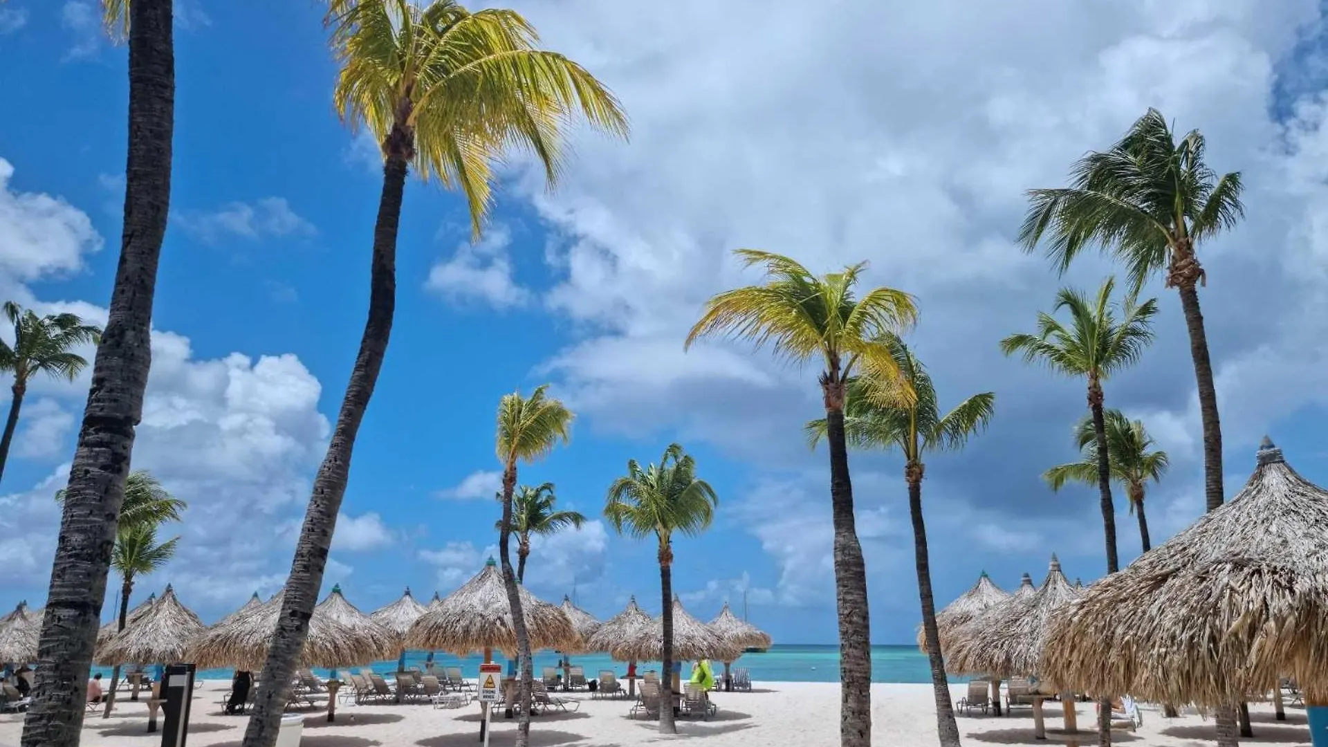 Cd03 - Private Villa With Pool - 5Min From Eagle Beach - 4Br House Palm Beach Aruba
